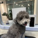 Mong's(몽'스) 이미지