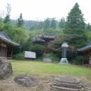 유림-6 Daum카페