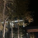 [파크로쉬 정선] 숙암 킹 스위트 객실부터 조식, 요가까지 완벽한 힐링 여행 후기