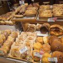 파티마약국 | 대구 파티마병원 난소낭종제거 수술후기(수술3일차~외래까지)