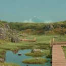 식산봉의 황근자생지 및 상록활엽수림 | [오늘 뭐하지?] 제주도 제주시 성산읍 가볼만한 새로운 길 베스트 10