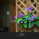 뜰커피 이미지