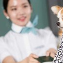 수송반려동물병원 이미지