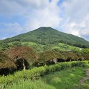 별천지공원-2 이미지