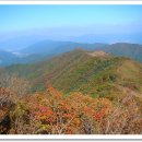 장수 장안산 억새산행 이미지