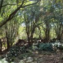 서광리-14 이미지