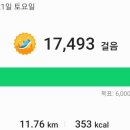 금성일기