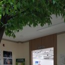 오산현대의원 이미지