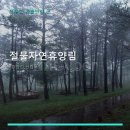 절물자연휴양림 | 절물자연휴양림