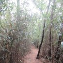 창원중앙역 광장 이미지