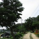 경기둘레길 여주36코스 이미지