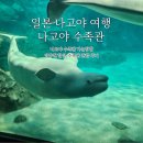 돌고래와펭귄 | 일본 나고야 수족관 후기 가는방법 입장권 할인 돌고래쇼 나고야 자유여행 추천