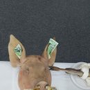 동그리 당구클럽 이미지