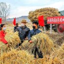 순안농장 이미지