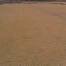 잔디 농장 이미지