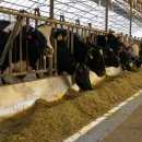 성효목장 이미지