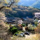 충남 서산 "개심사"와 바로 밑 '신창저수지"에서 이미지