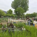 자연아 놀자 이미지