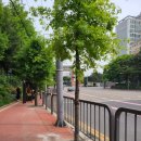 기산중학교 이미지