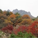 구봉산 Daum카페