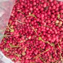 이삭농장 이미지