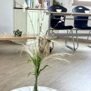 홍동농장2 | [후기&amp;안내] 6월 셋째 주🥗 느리게, 천천히