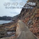 신양리 동쪽 방파제 입구 | 울릉도 여행코스 추천, 저동항 촛대바위와 울릉해담길(ft. 지도)