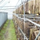 이종현농장 이미지