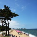 속초해수욕장 이미지