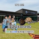 폼폼페이퍼 | 추천, 뻔한 키즈카페 말고! 주말 나들이로 다녀온 오감만족 곤충체험 가능한 포프 곤충테마파크 솔직 후기
