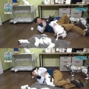 MBC 어린이인형극 이미지