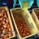 금호농수산 이미지