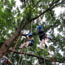 괴산명덕초등학교 이미지