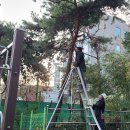 신중초등학교 이미지