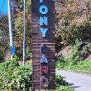 오리들1길 이미지