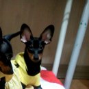 해랑방1 이미지