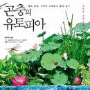 충남유토피아