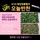오늘반찬 이미지