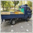 삼일화물 이미지