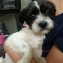 민동물병원 이미지