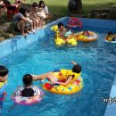 황금수영장 이미지