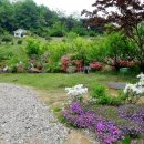 진성농원민박 이미지