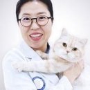 닥터캣 고양이병원 이미지