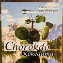 이마트24동성로중앙점 이미지