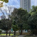 해운대역 4번출구 앞 이미지