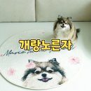 반려동물 굿즈제작 개랑노른자 커스텀 러그 아이러그유