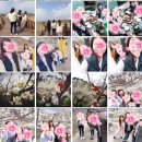 순천만주유소 이미지