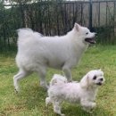 더블스테이 또또멍5호 이미지