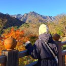 북면172 | 속초 설악산 케이블카 운영시간 단풍 정보 탑승 못한 후기