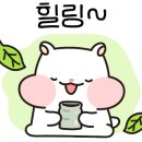 그린샵 이미지